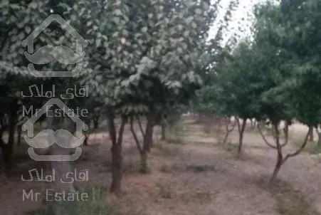 زمین ۵۵۰ متر تهراندشت