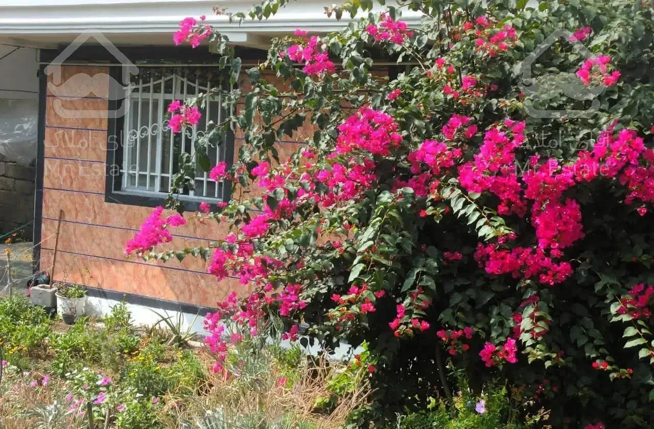 تکخوابه پره سر،نزدیک گیسوم