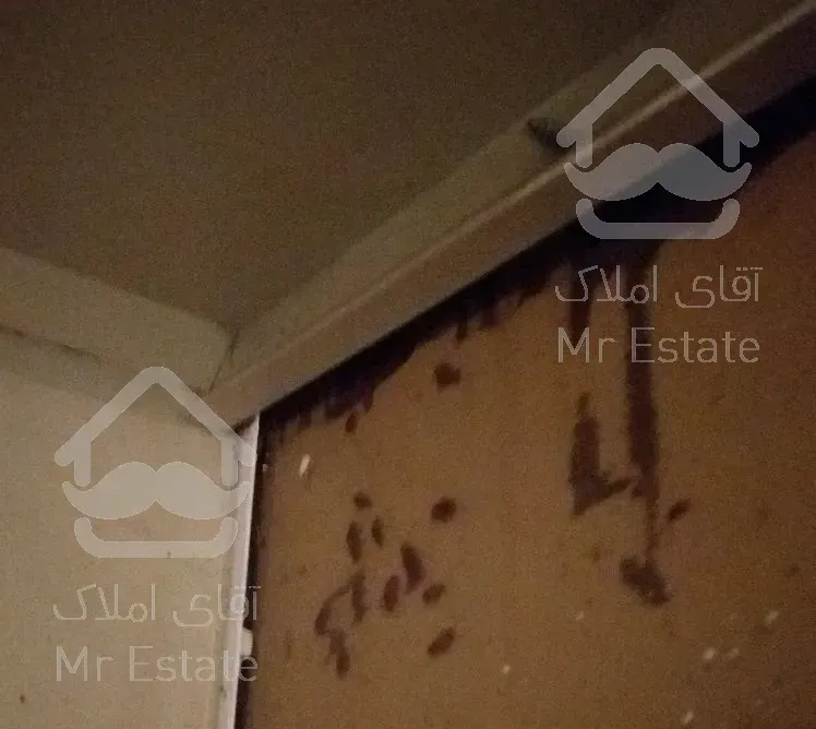 سمپاشی تضمینی حشرات مایع طعمه گذاری تزریق ژل