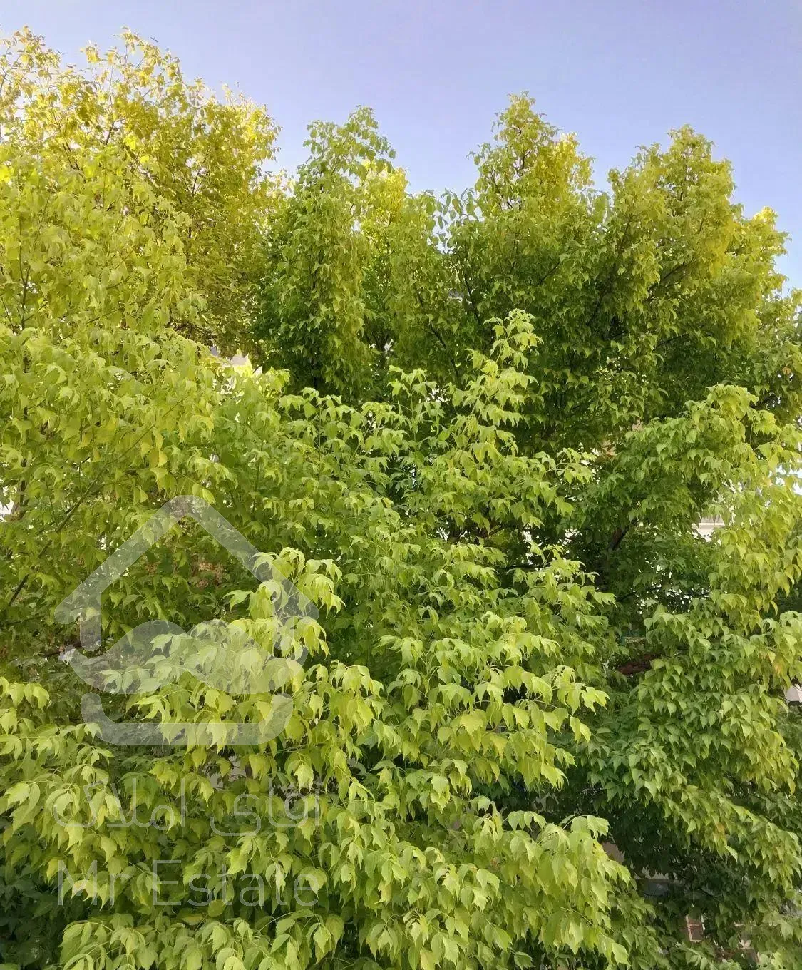 اپارتمان شهرک امام حسین