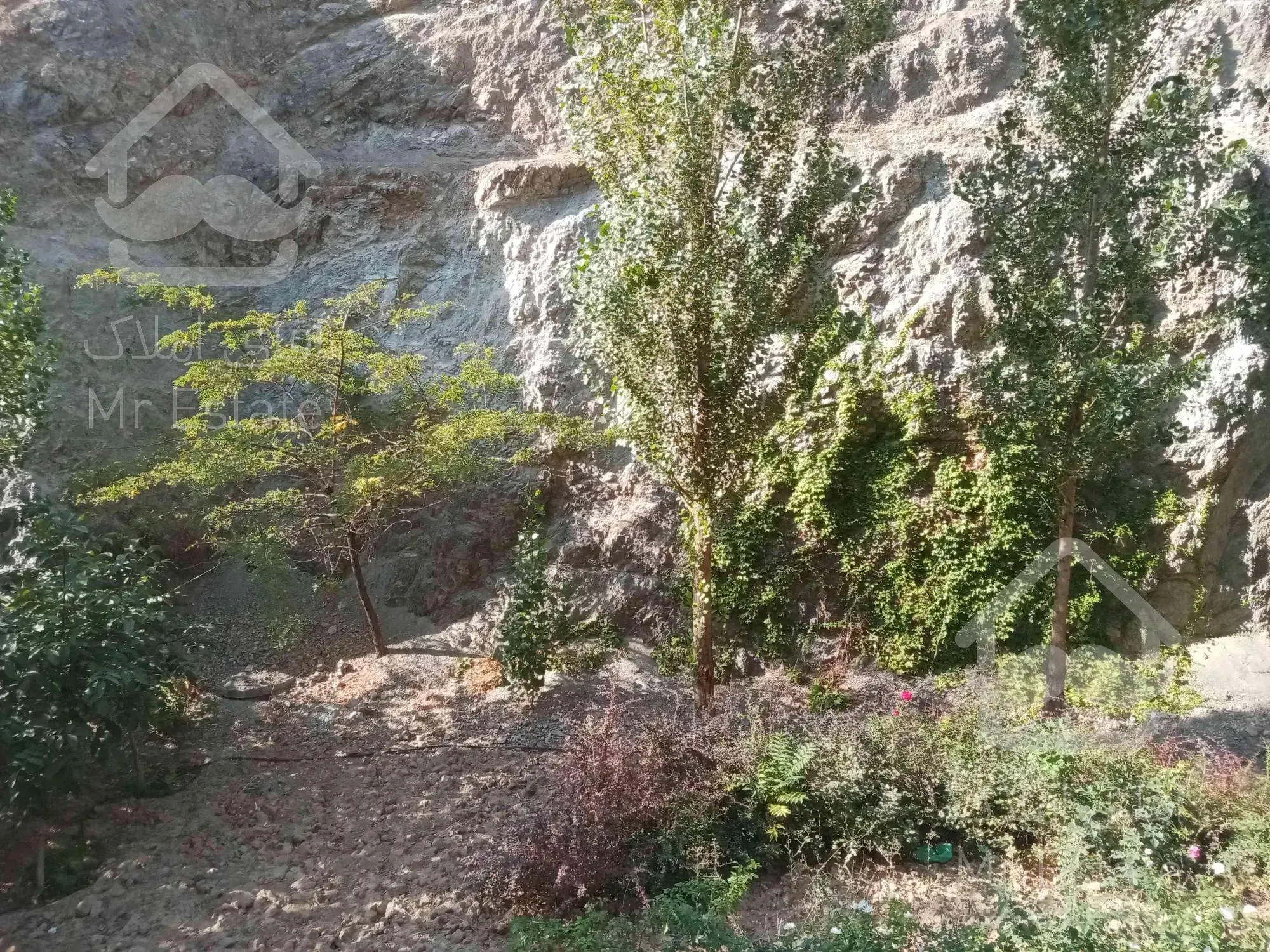 173 متر بام محک فول امکانات