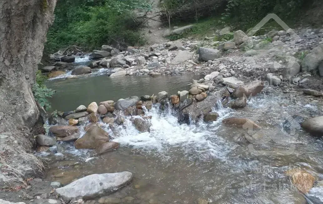 اجاره  ویلا چوبی باغی دربست