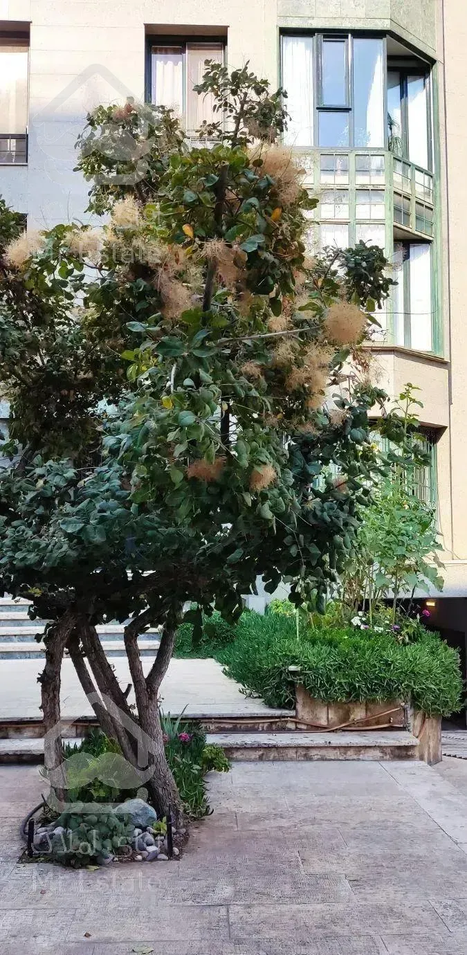 میرداماد فرعی دنج 160سه خوابه