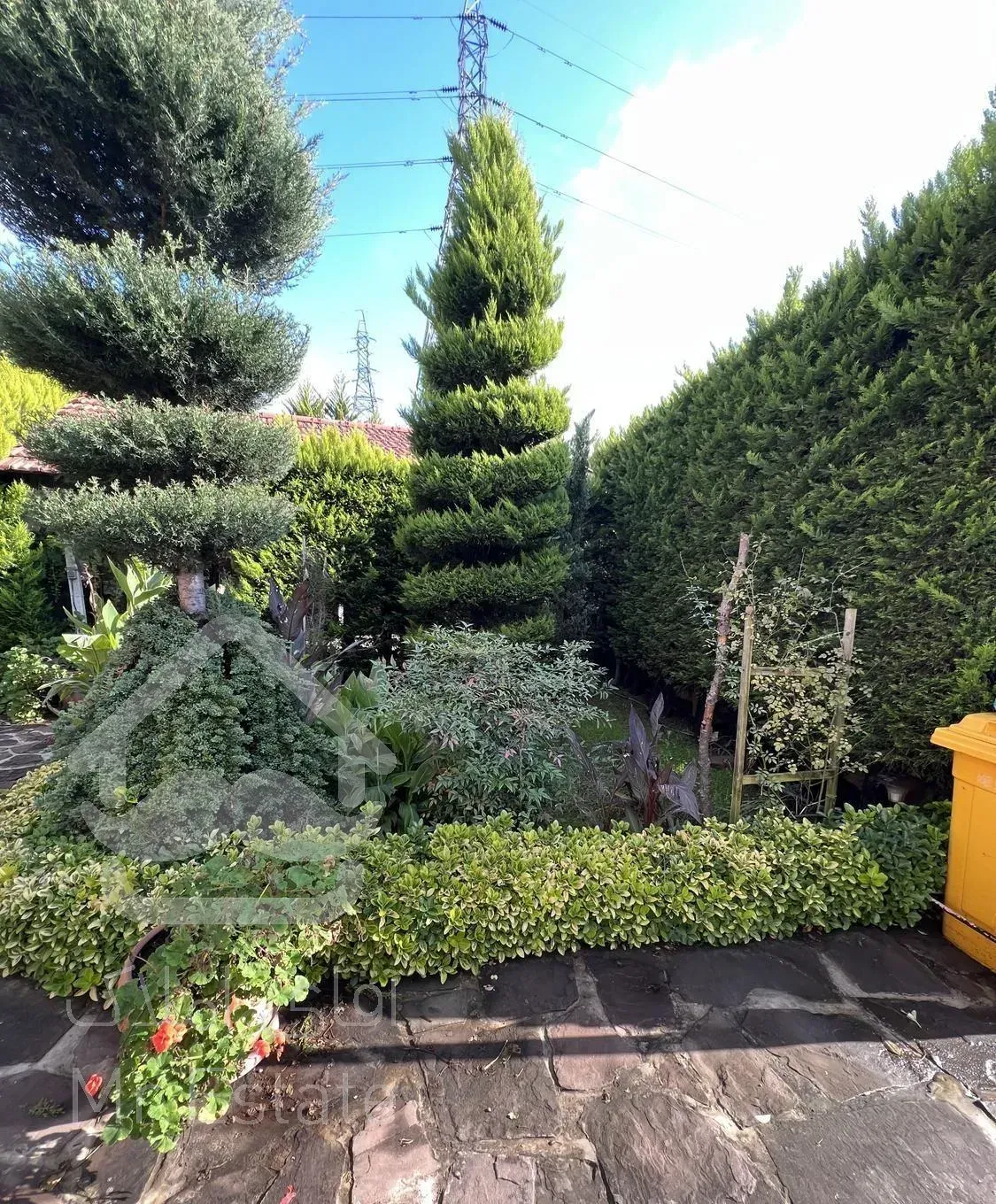 زمین ۸۰۰ متری سرمایه گذاری خیابان یاس خزرشهرجنوبی