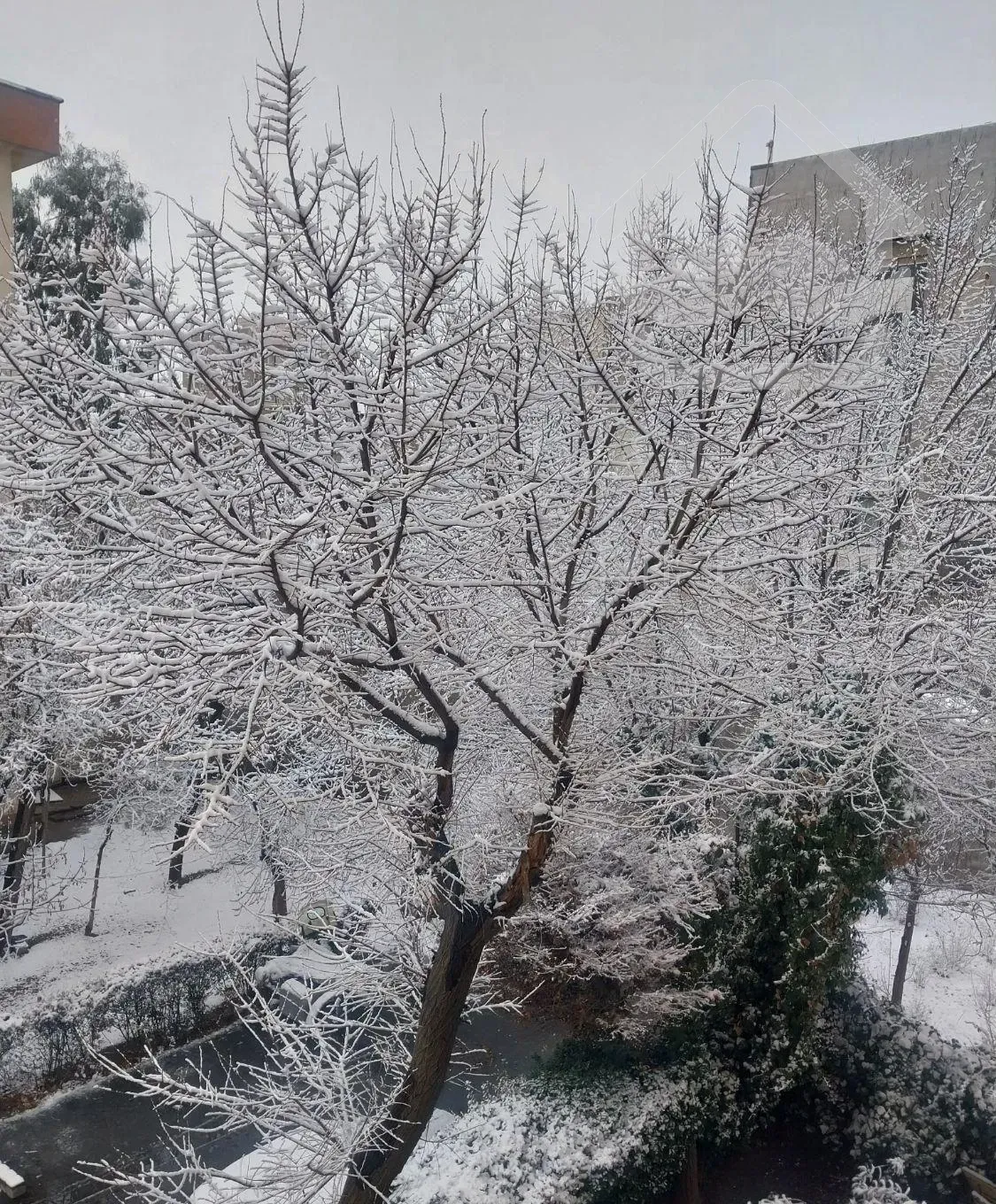 پیش فروش آپارتمان ۱۲۰متری تک واحد خیابان پیراینده