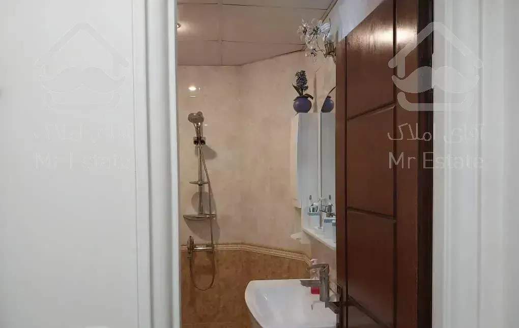 میرداماد - شاه نظری ( 205 متری )