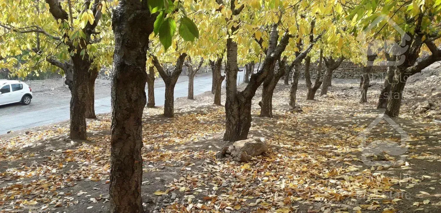 باغ گیلاسی محدوده فشم  معاوضه با منزل مسکونی