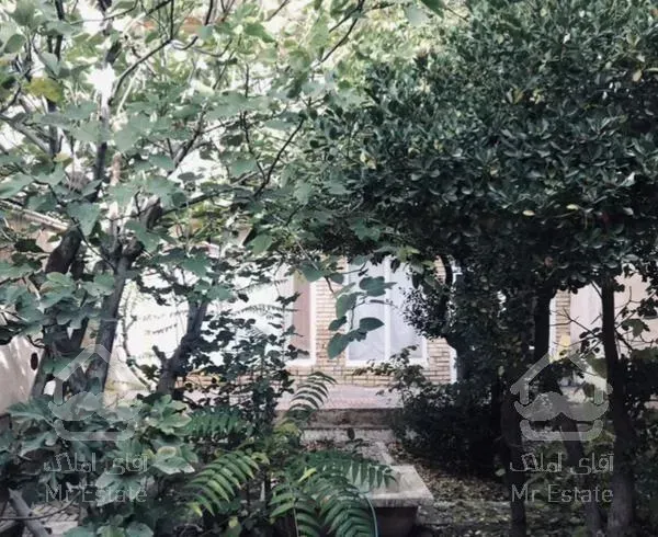 ۱۰۰ متر کوچه ارک بن بست کیا