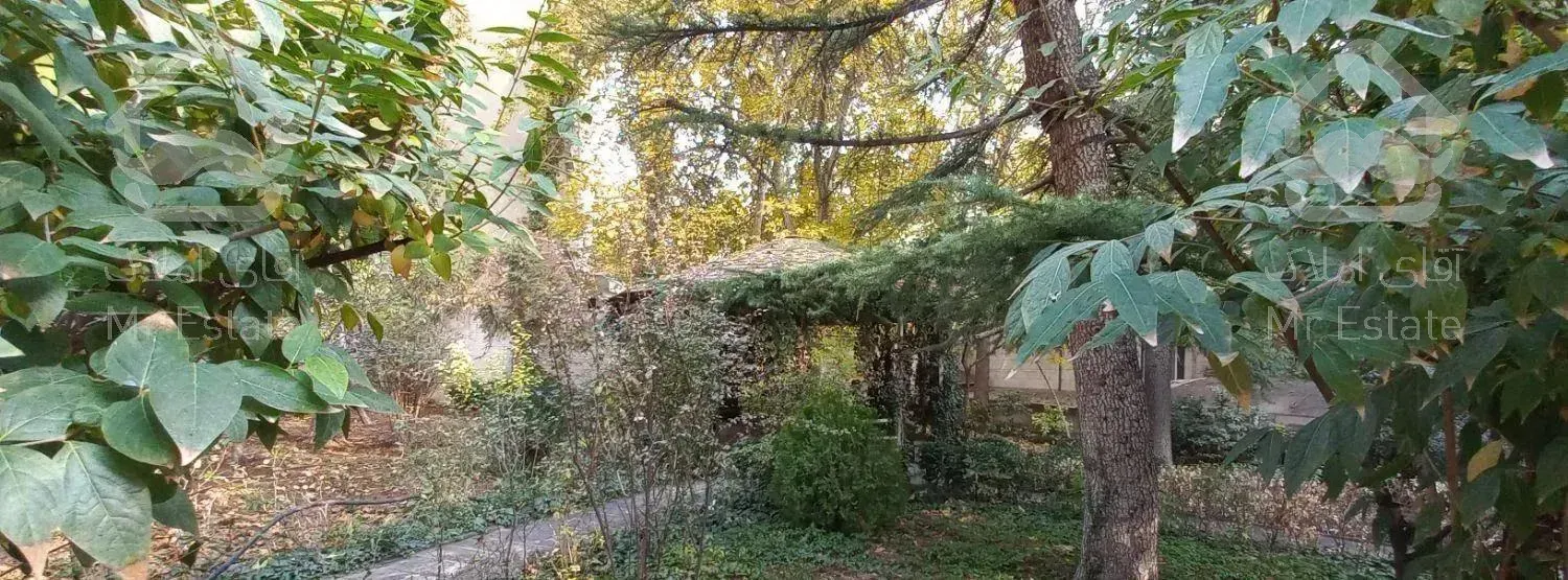 3000 متر ازگل ویلایی