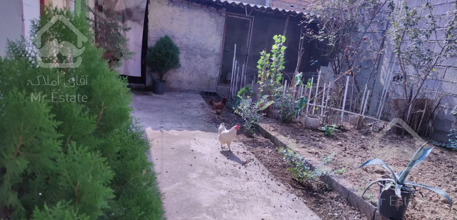 اجاره سوییت و خانه حیاط دار دربست