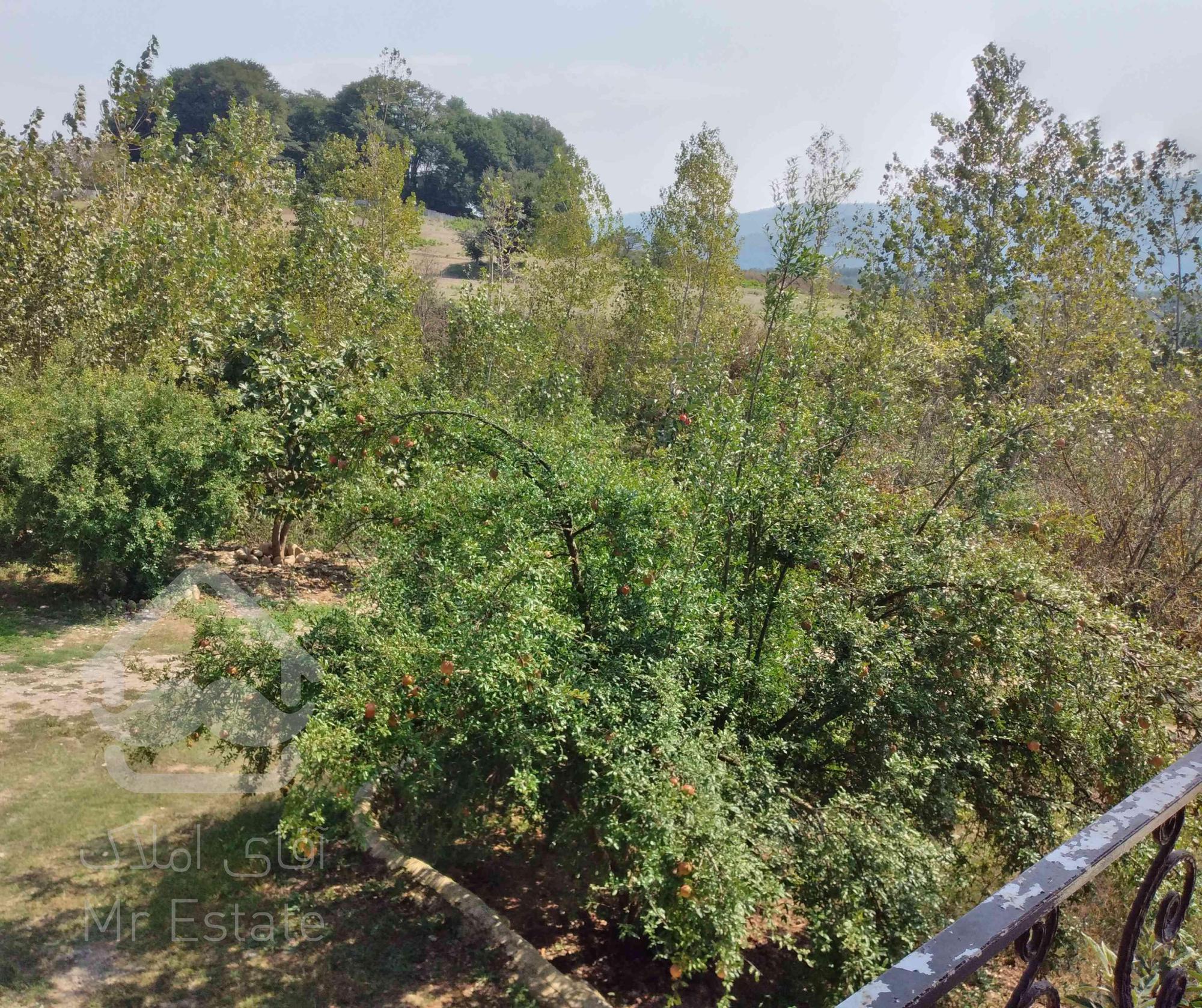 ویلا و باغ در مازندران، ساری، روستای ورند