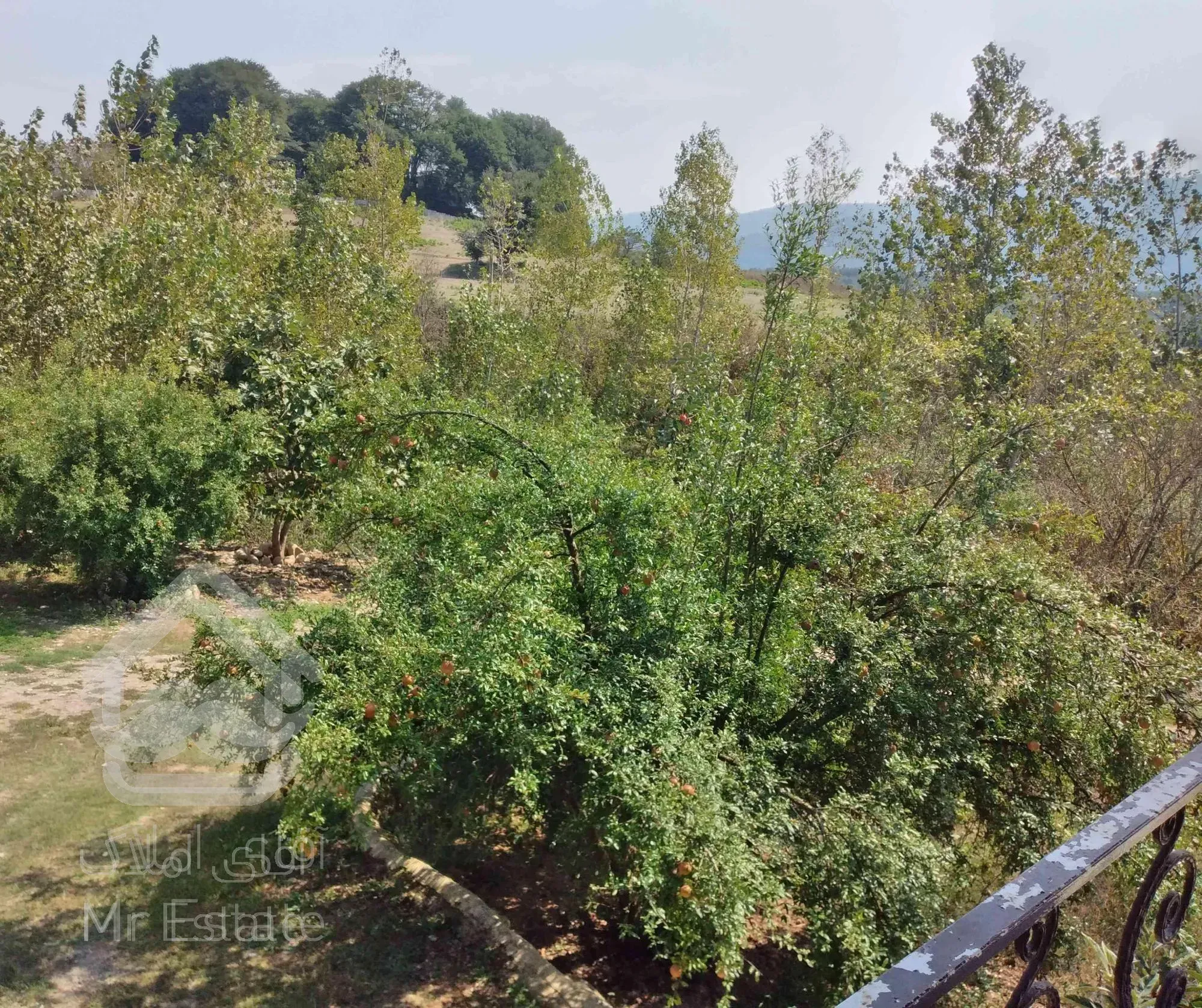 ویلا و باغ در مازندران، ساری، روستای ورند