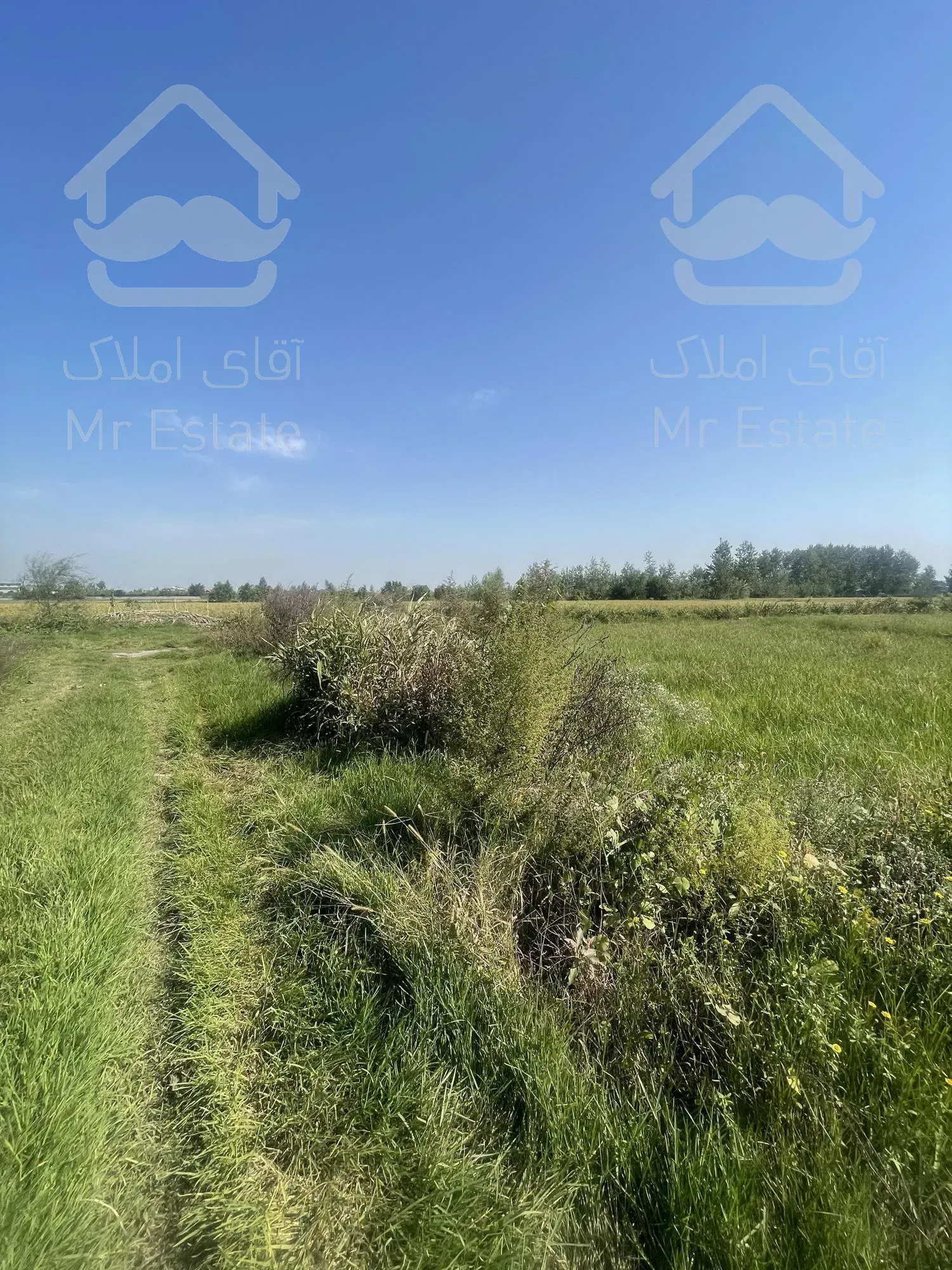 1300 متر زمین قابل تفکیک