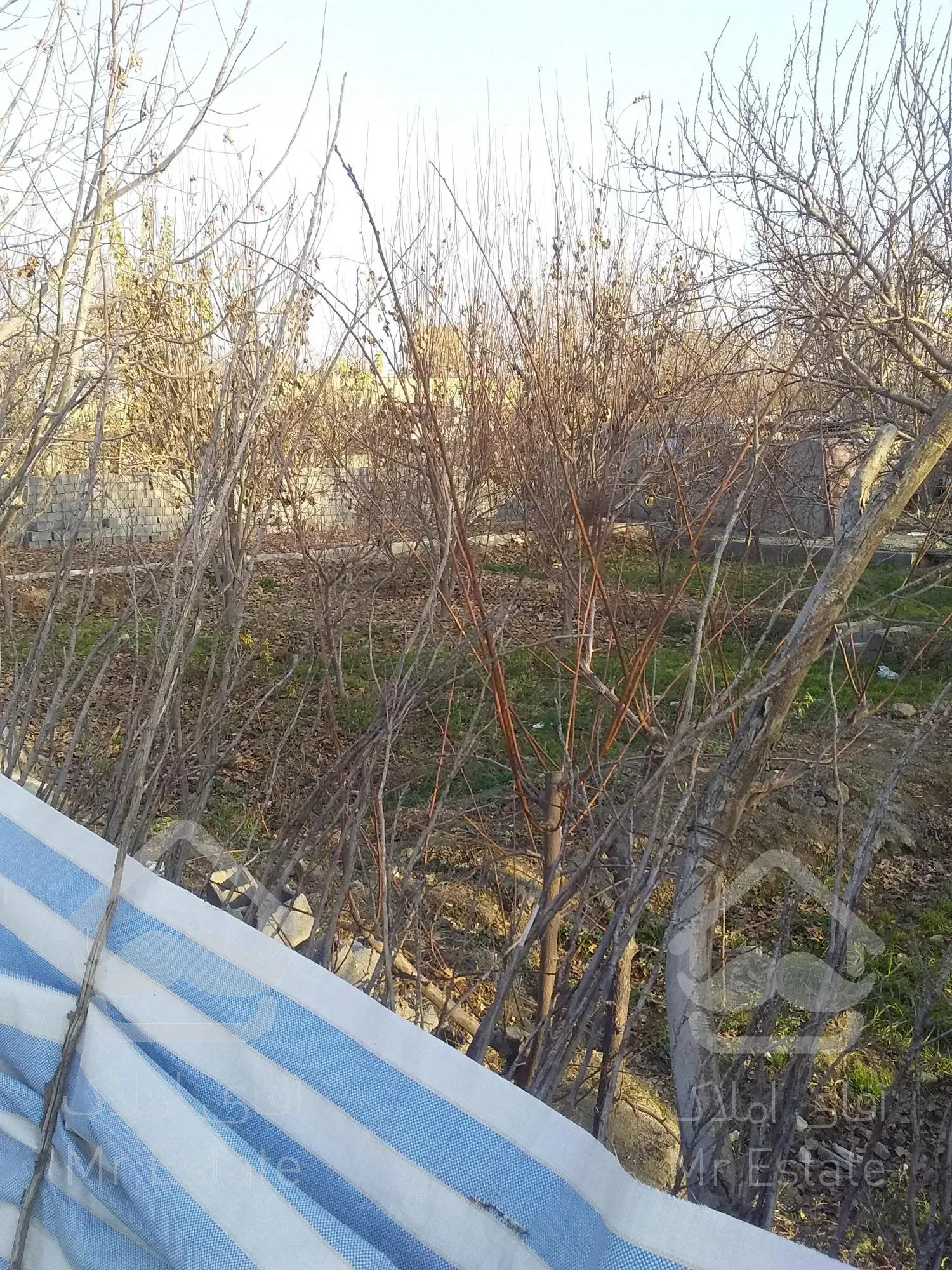 زمین باغی به متراژ۶۰۰مترچهاردیواری.بهترین نقطه محمداباد.دارای اب برق گازوسندبه فروش میرسد