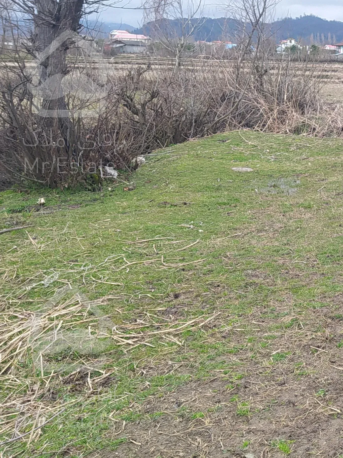 زمین مزروعی مناسب سرمایه گذاری