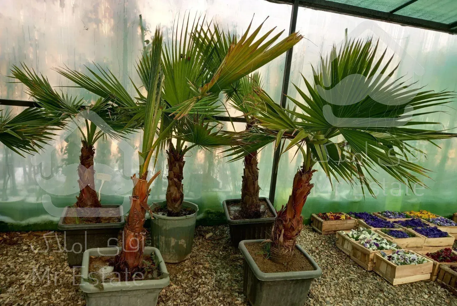 سمپاشی باغبانی درختکاری نوین