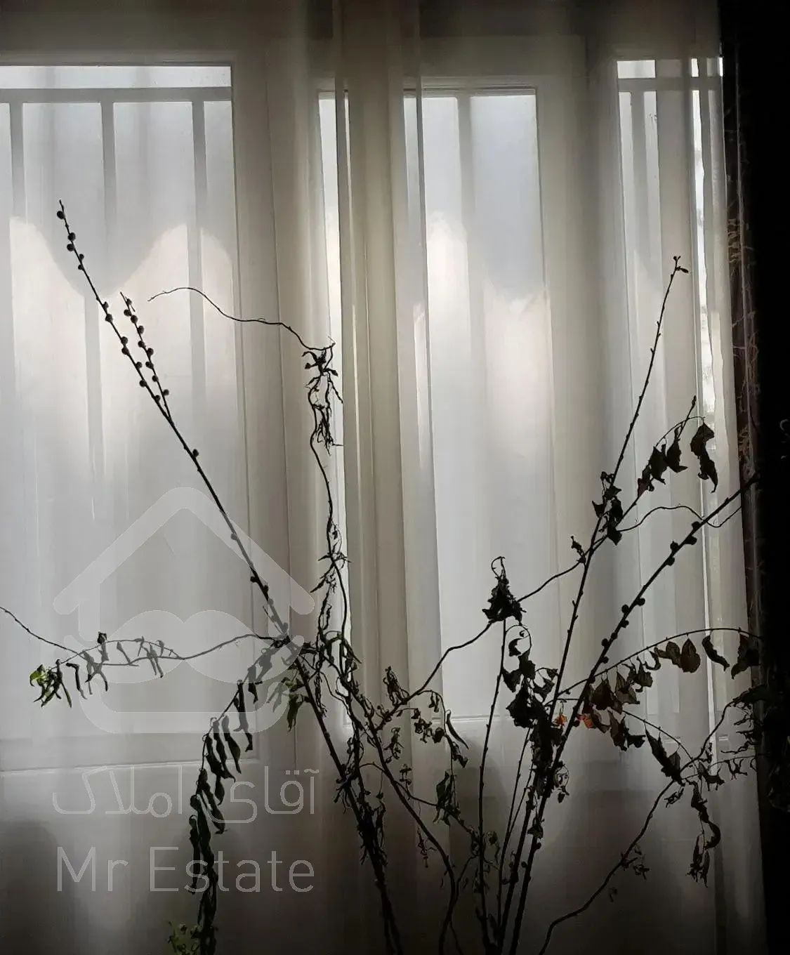 رهن و اجاره آپارتمان دوخوابه