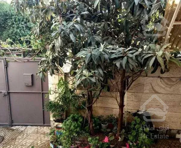 ویلایی سند دار تک برگ عرض ۸متر نیم طول ۱۶