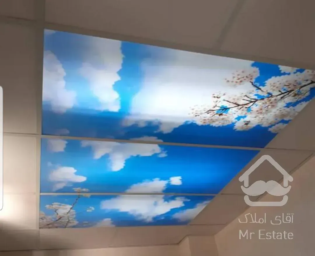 اجرای تخصصی انواع سقف ۶۰*۶۰ ( انواع تایل پی‌وی سی . گچی‌. الومنیوم . پانچ نا منظم )