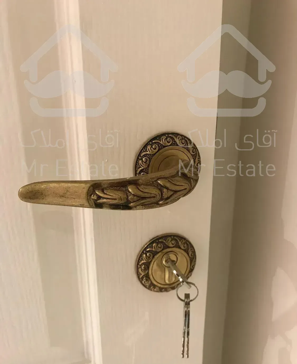 شاهین شمالى/شیک و فول امکانات کم واحد