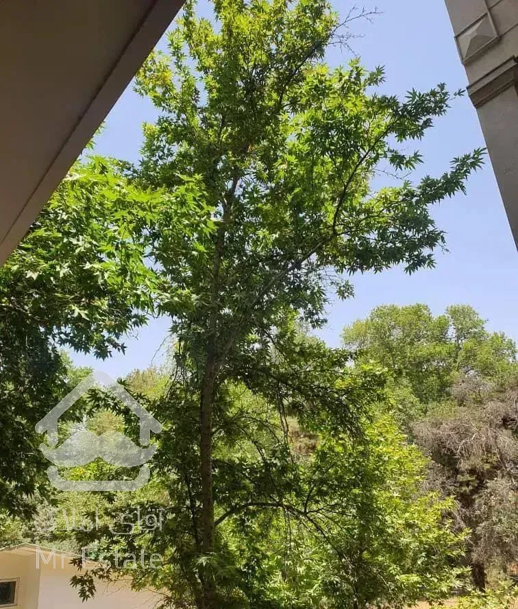 فرشته ۱۸۰ متر نوساز در دل باغ