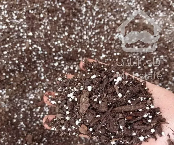 باغبانی سمپاشی تعویض خاک گلدون در سراسر تهران