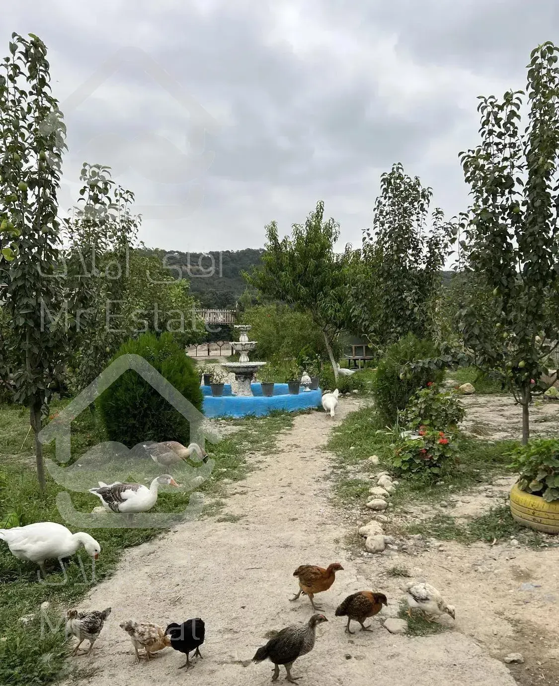 کلبه سنتی جنگلی شصت کلا