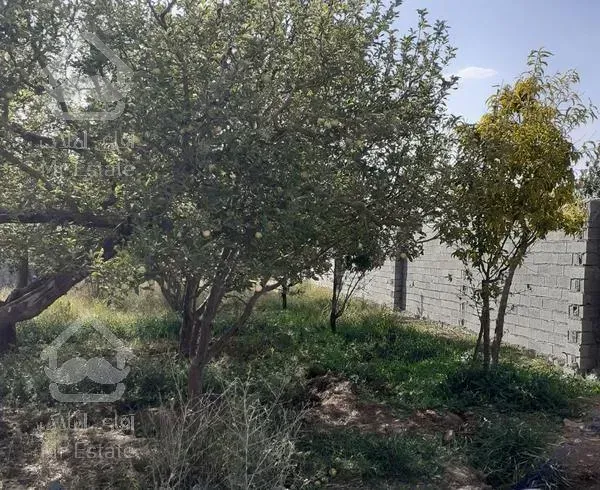 ۵۰۰ متر باغچه جابان