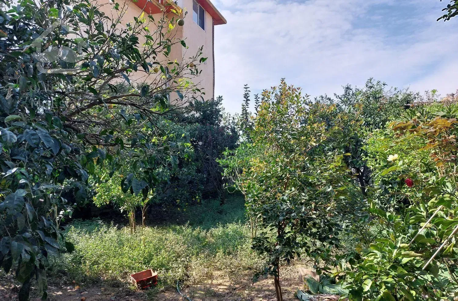 ۶۰۰ متر ویلا باغ محمودآباد بونده سند تک‌برگ مسکونی