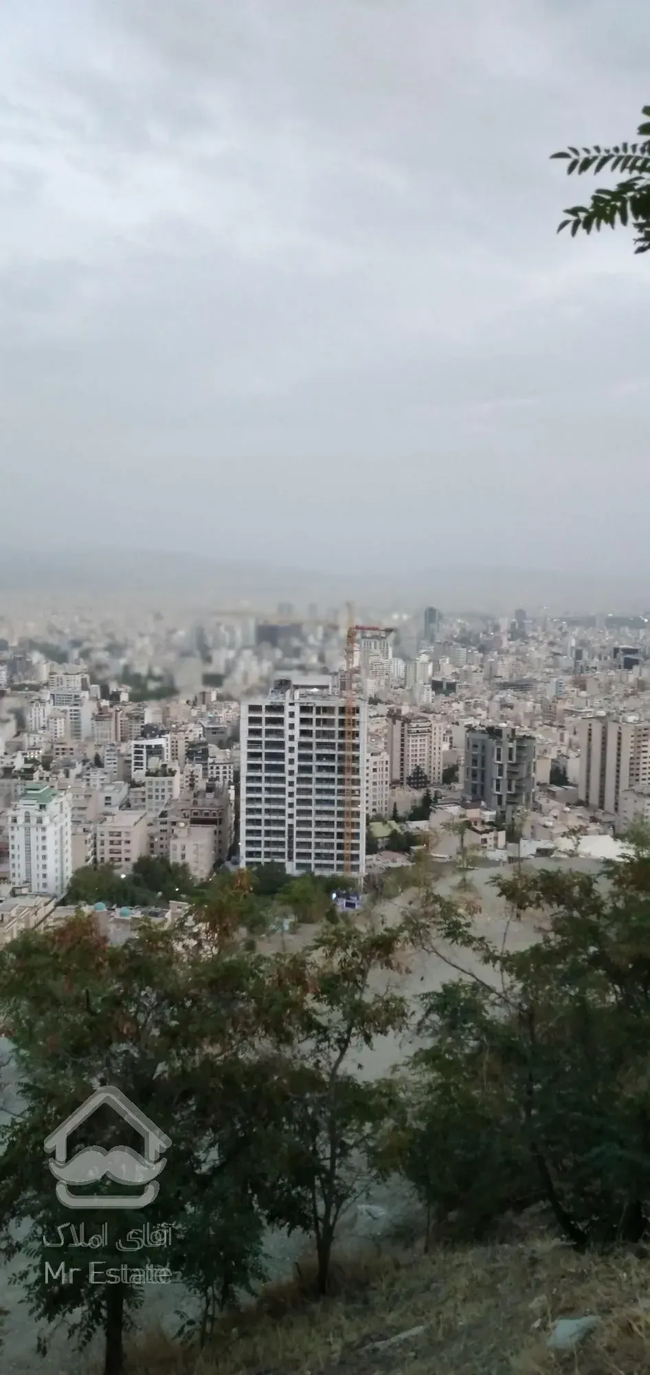 ۱۱۰متر، برج مجلل رونیکا پالاس، پونک