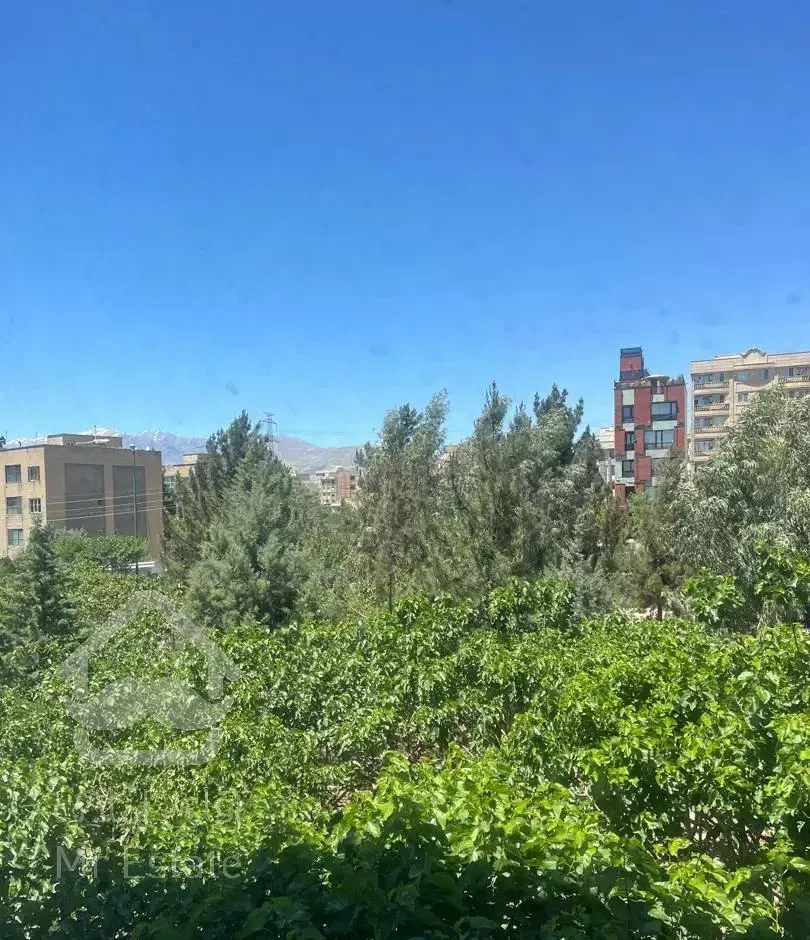 پروژه لوکس محمودیه / مشاعات کامل