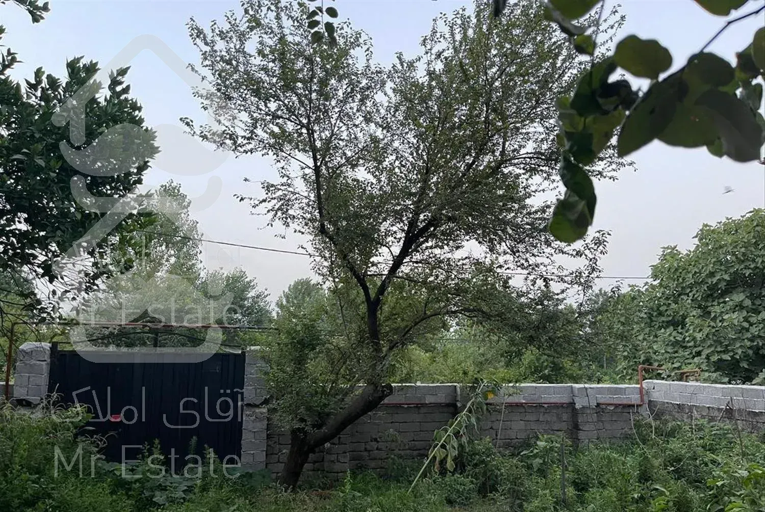 اجاره‌ روزانه ویلا نزدیک دریا و رودخانه