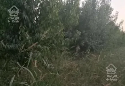 فروش زمین کشاورزی 700 متر در کردان