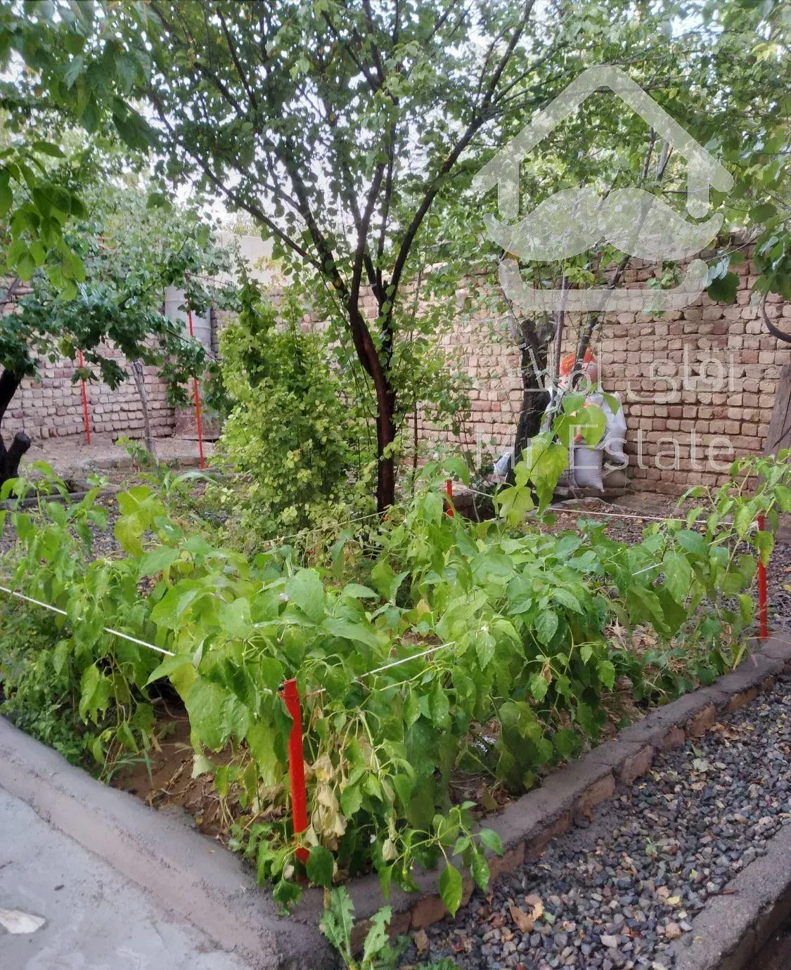 باغ ویلا اجاره