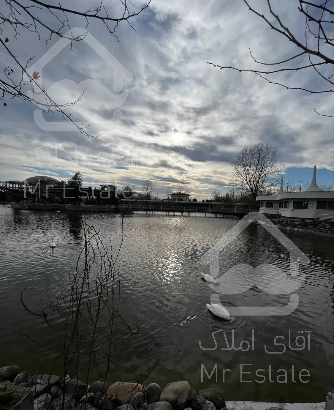 91 متر واحد در مجموعه ی ستاره دریا/با دریاچه