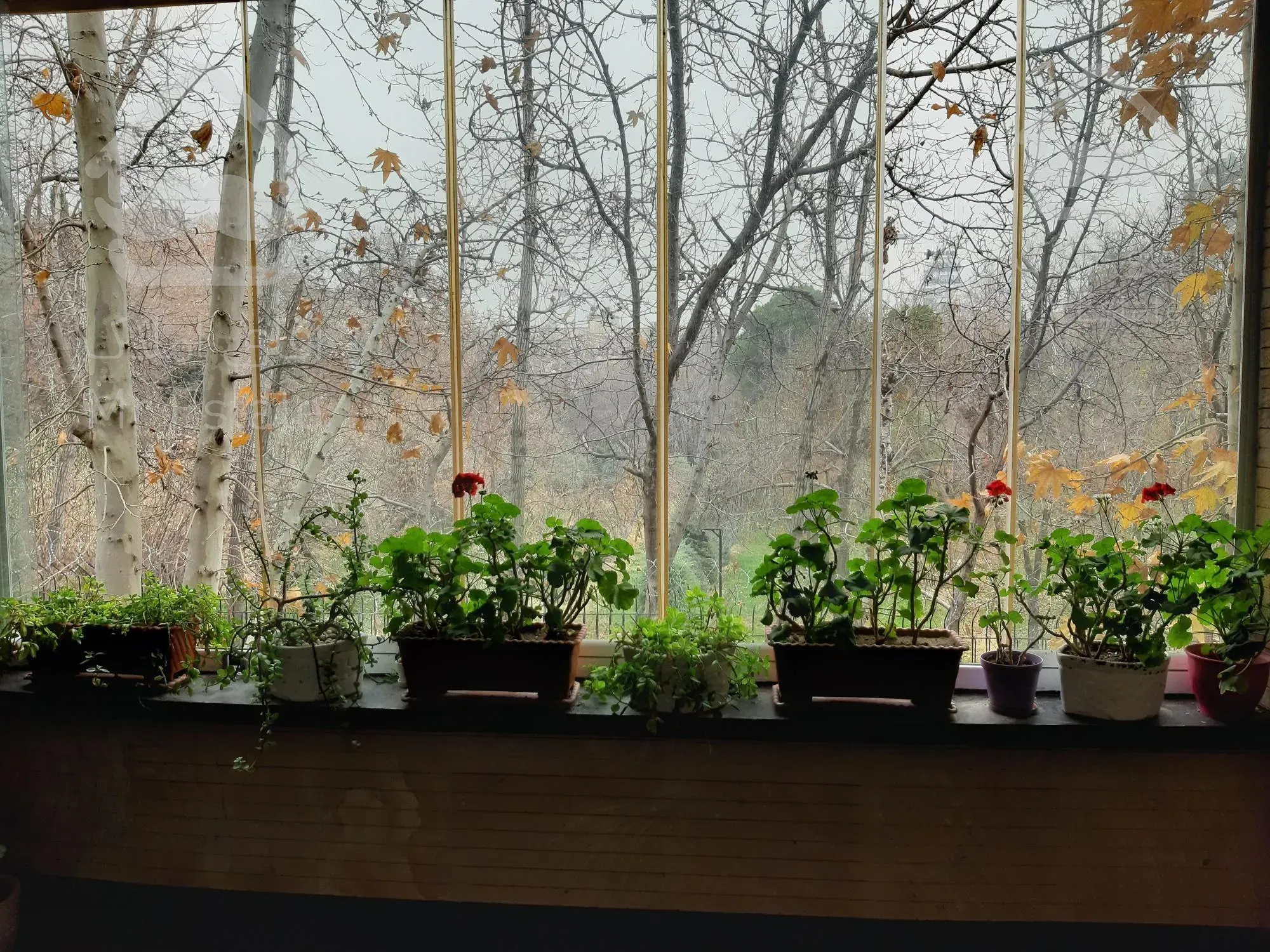 اجاره رهن آپارتمان۲۰۰مترکامرانیه فرمانیه ویو تراس ۳خواب نورگیر تک واحدی ویو