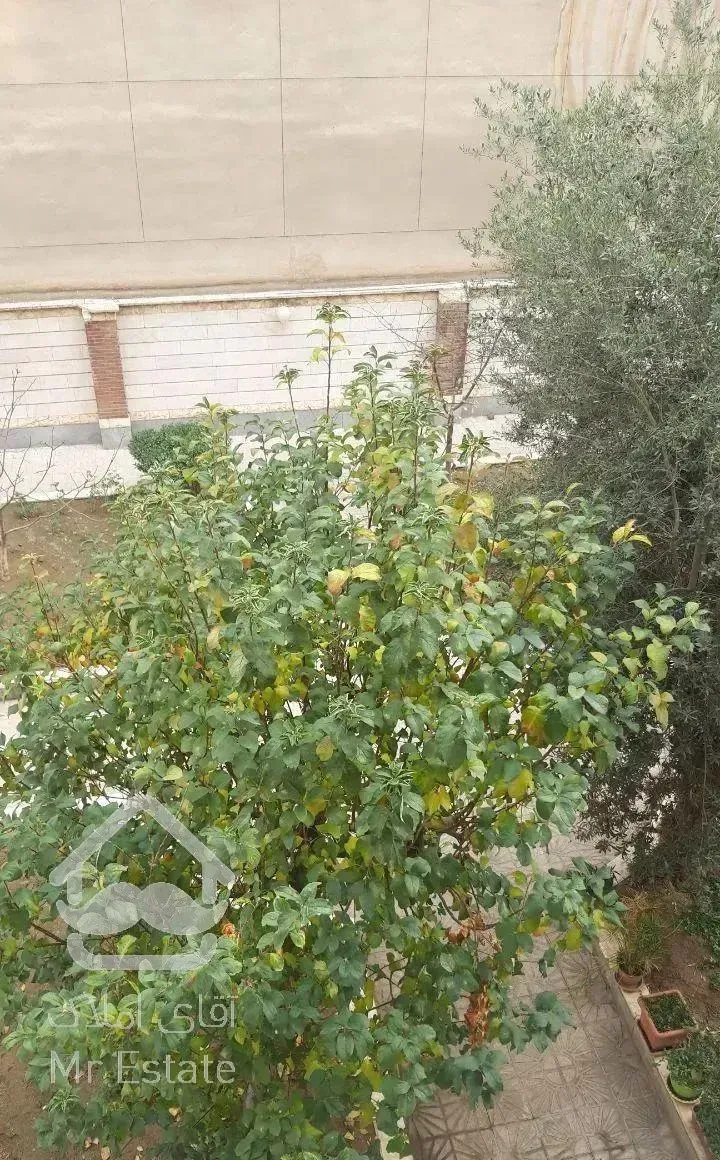 آپارتمان ۸۱ متر دوخوابه