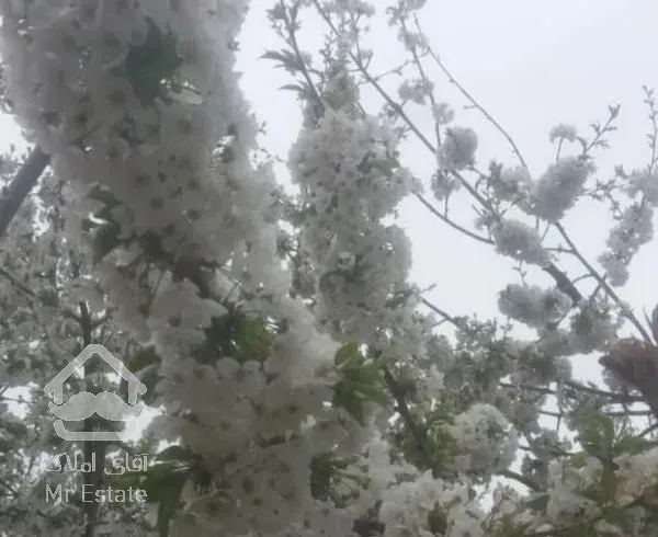 باغچه دارای ۸۰۰متر زمین ودرختان میوه در کوهسار