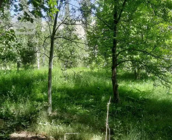 فروش باغ در  منطقه خوش آب و هوا