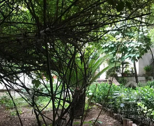 135متر نیاوران نخجوان با حیاط مشجر