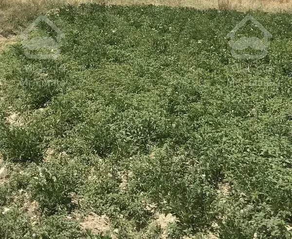 زمین هکتاری، مناسب شهرک سازی در منطقه گردشگری