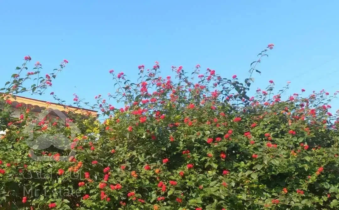 ۹۵ متر دو خوابه ، لوکیشن بینظیر