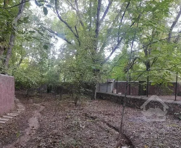 باغ ویلا  چشمه اعلی