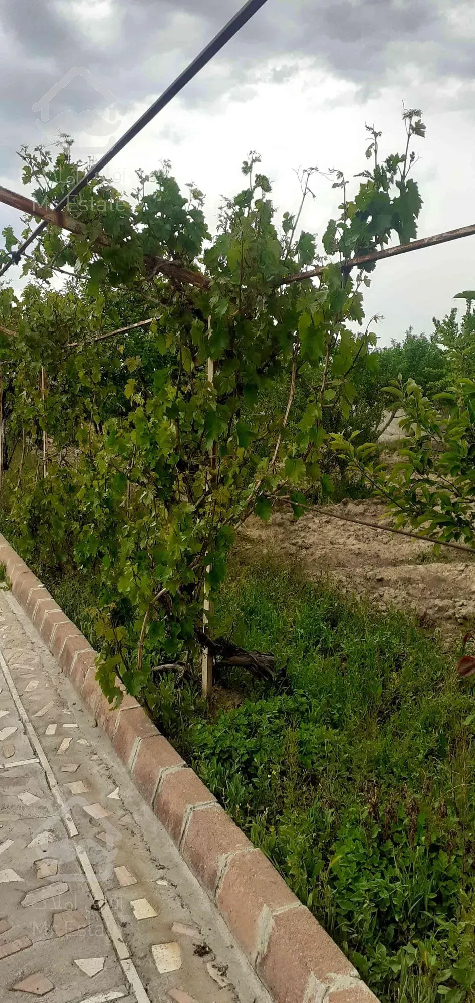 ویلا باغ دارای همه اماکانات در تبریز