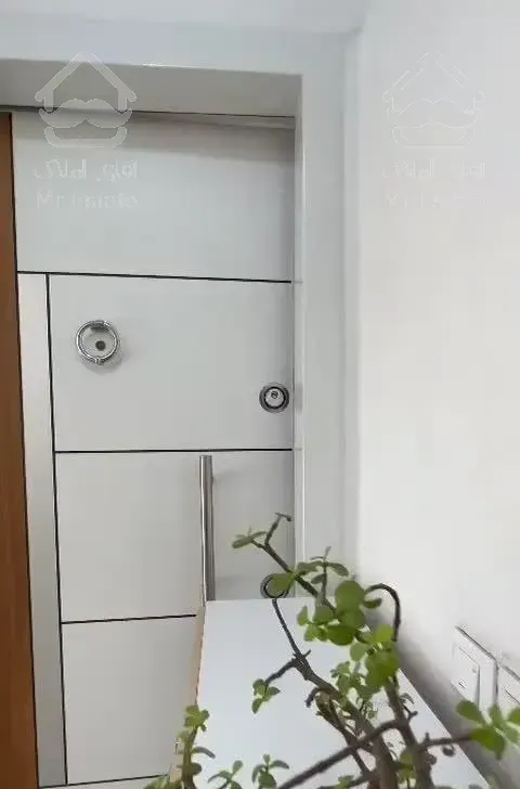 جکوزی،جزیره،تراس،برخیابان،ویو ابدی روبرو پارک ۱۱۸