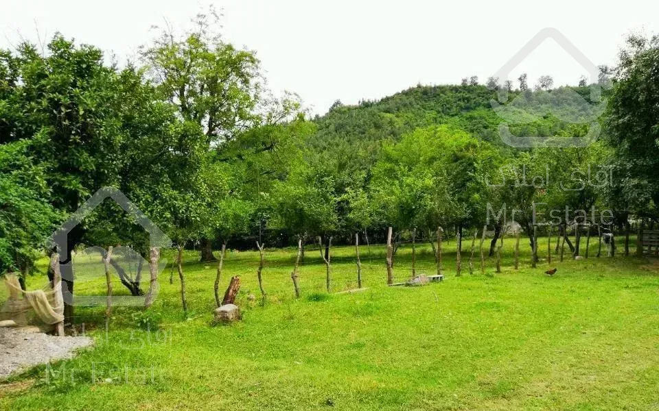 ویلا تراس دار کنار جنگل و نزدیک به شهر