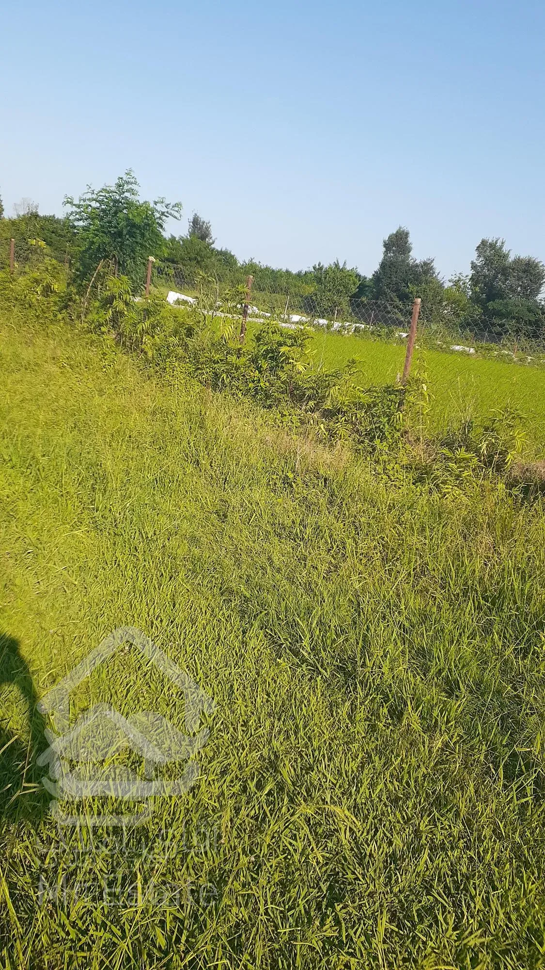 زمین باغات 538 متری