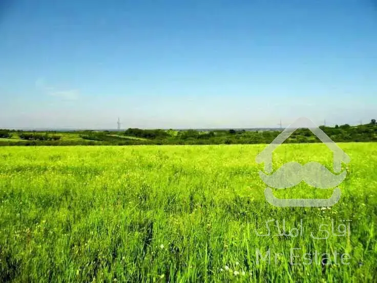 ☆☆زمین۴۴هکتاری گیلان قیمت عالی☆☆