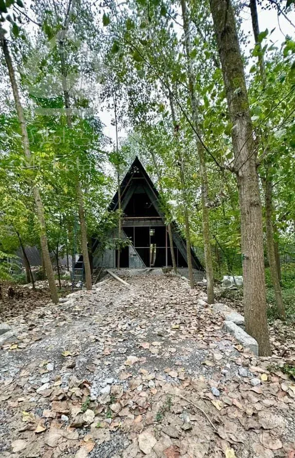 ویلا کلبه سویسی وسط جنگل با سند و سه کنتور