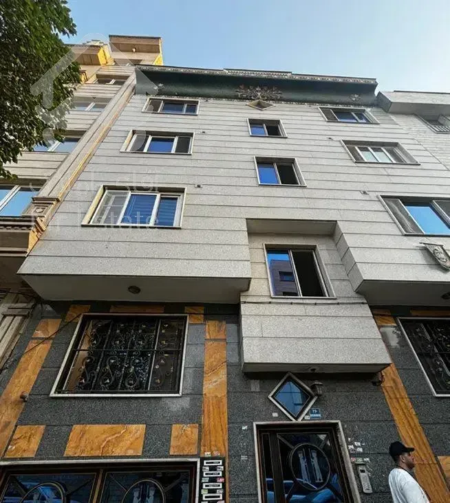 شقایق شمالی/ ۷۰ متر / عکس واقعی